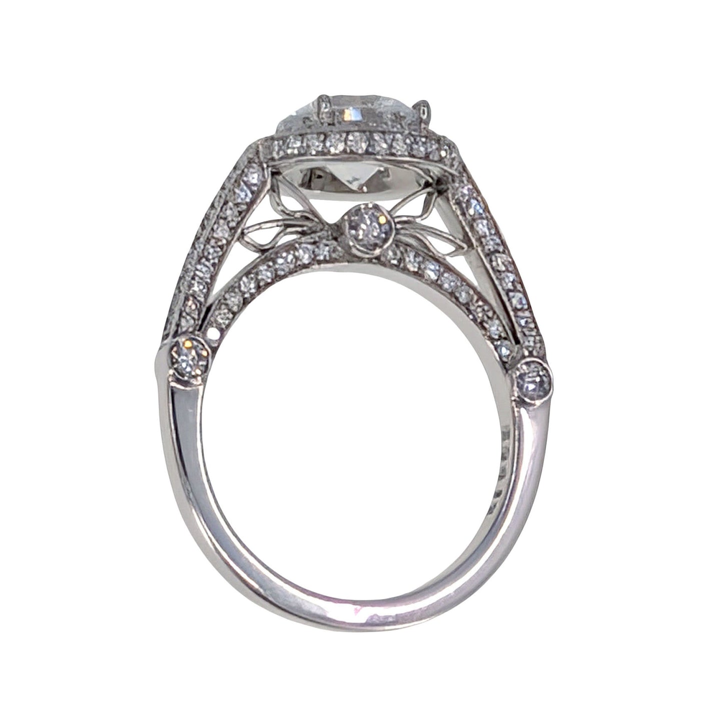 Stardust 18KW Halo Engagement Ring